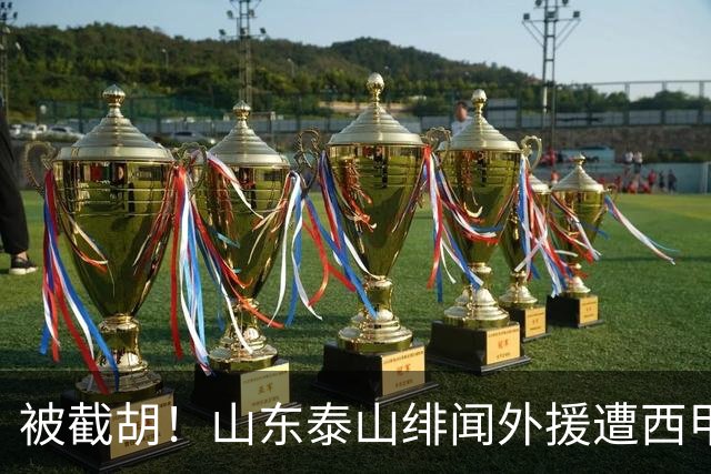 被截胡！山东泰山绯闻外援遭西甲豪门抢夺，夏窗换外援计划再度搁浅